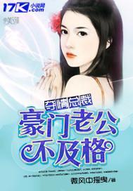 夺情总裁:豪门老公不及格封面