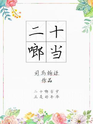 二十啷当封面