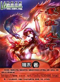 凤傲天穹封面