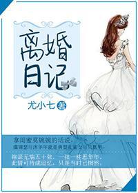 离婚日记封面