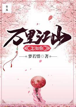 万里江山怎如你封面