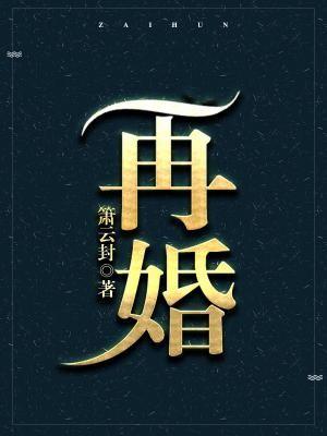 再婚封面