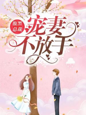 腹黑总裁宠妻不放手封面
