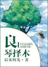 良琴择木封面