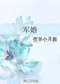 军婚时代封面