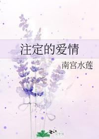 註定的爱情封面