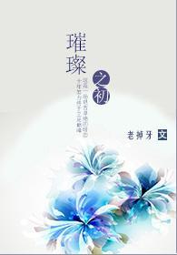 璀璨之初封面