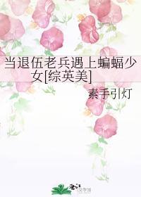 当退伍老兵遇上蝙蝠少女[综英美]封面