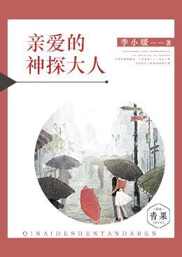 亲爱的神探大人封面