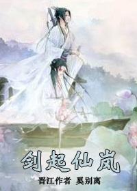 剑起仙澜封面