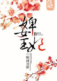 婢女王妃封面