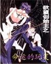 欲望创始主之命运的玩笑封面