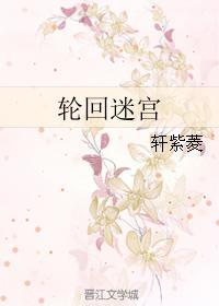 轮回迷宫封面