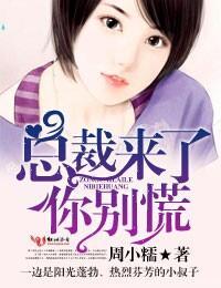 总裁来了,你别慌封面