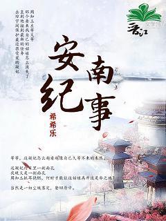 安南纪事封面