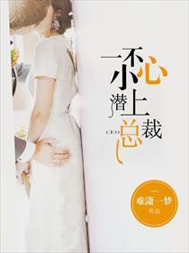 一不小心潜上总裁封面
