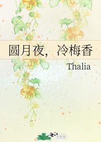 圆月夜，冷梅香封面