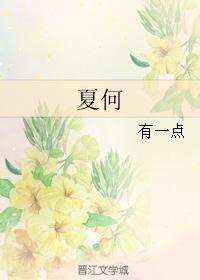 夏何封面
