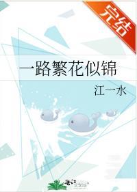 一路繁花似锦封面