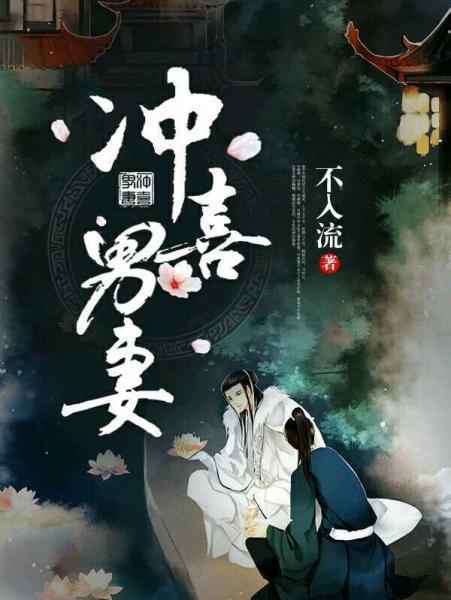 冲喜男妻封面