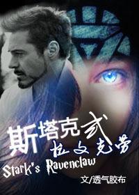 [HP+覆联(主钢铁侠)]斯塔克式拉文克劳封面