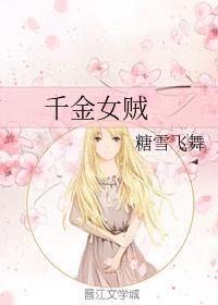 千金女贼封面