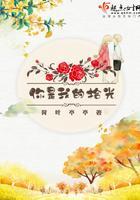 你是我的拾光封面