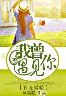 日光微暖：我曾遇见你封面
