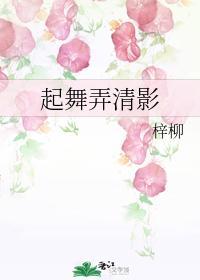 起舞弄清影封面