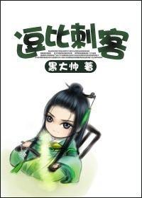 逗比刺客封面