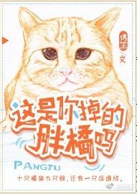 这是你掉的胖橘吗封面