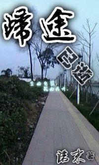 归途已逝封面