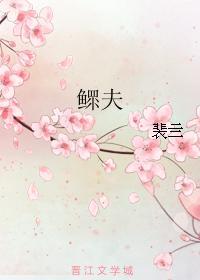 鳏夫封面