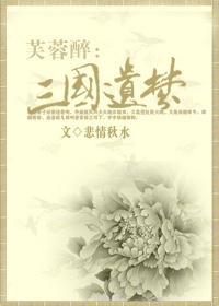 芙蓉醉：三国遗梦封面