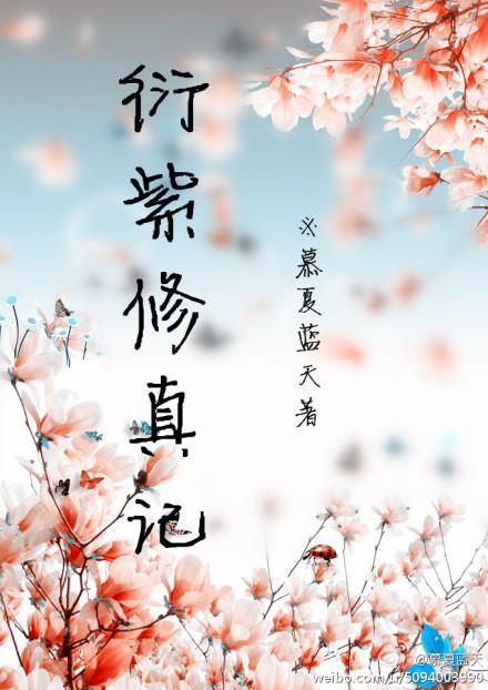 衍紫修真记封面
