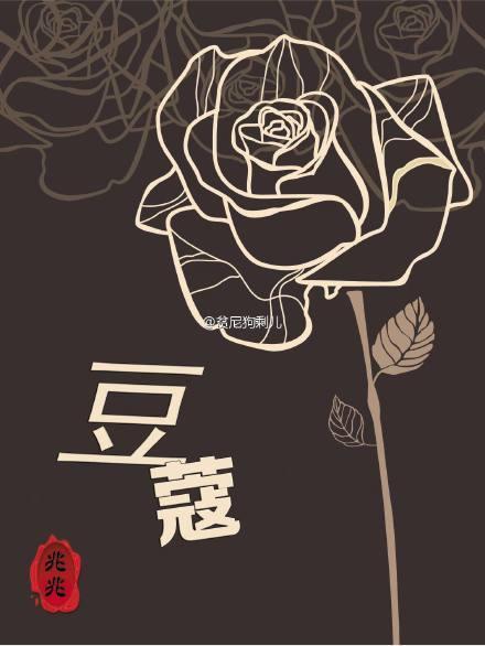 豆蔻封面