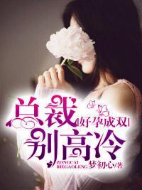好孕成双：总裁别高冷封面