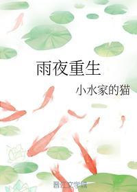 雨夜重生封面