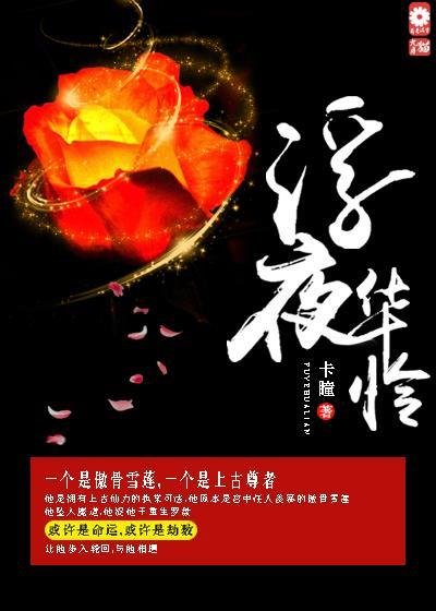 浮夜华怜封面