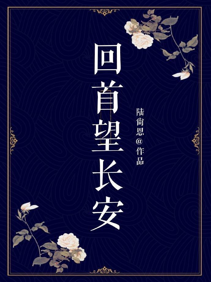 回首望长安封面