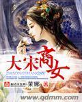大宋商女封面