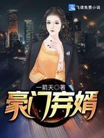 豪门弃婿封面