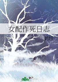 女配作死日志封面