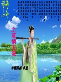 云水禅心之真情无限封面