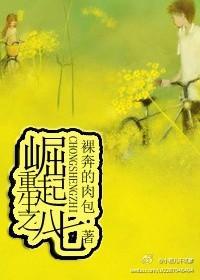 重生之崛起八七封面