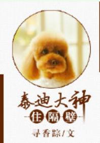泰迪大神住隔壁封面