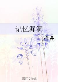 记忆漏洞封面