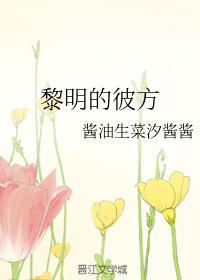 黎明的彼方封面