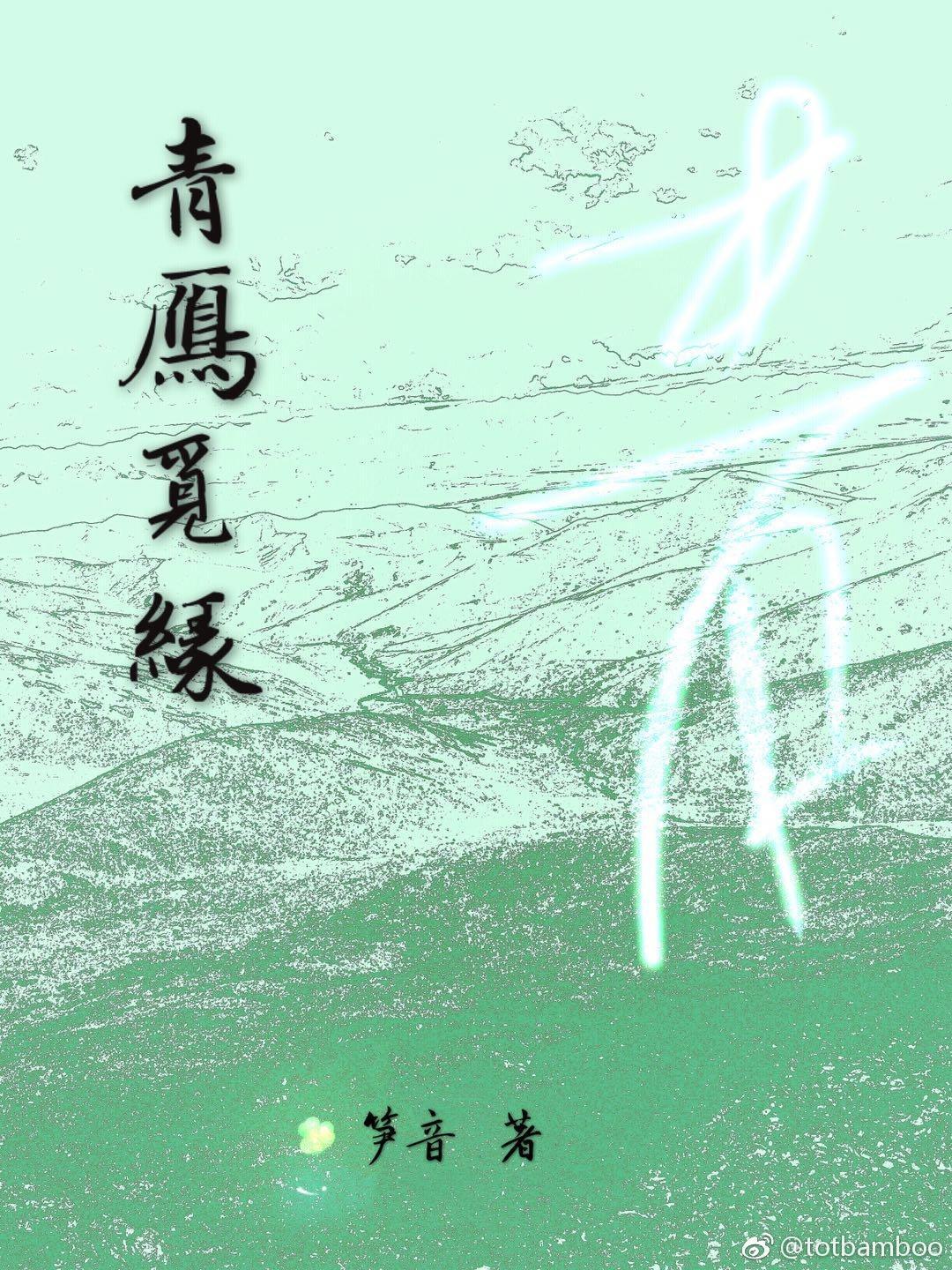 青雁觅缘封面