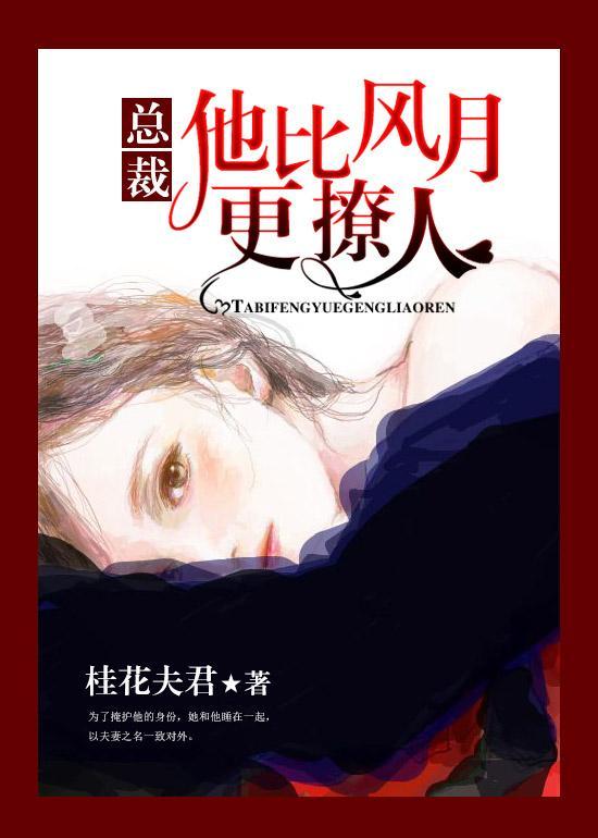 总裁,他比风月更撩人封面